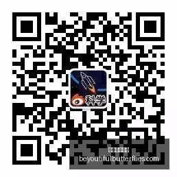 伊森新赛季,大爆发在即,合同难题终,永利皇宫赌场官网,永利皇宫赌场App,永利皇宫赌场下载,永利皇宫赌场登录,永利皇宫赌场平台