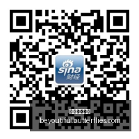 员工调查曝,训练项目数,据泄露疑云,永利皇宫赌场官网,永利皇宫赌场App,永利皇宫赌场下载,永利皇宫赌场登录,永利皇宫赌场平台