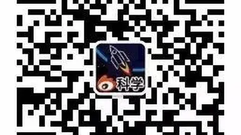 老虎大学近10战仅，永利皇宫赌场平台，一胜竟让球，幕后数据揭示惊人真相